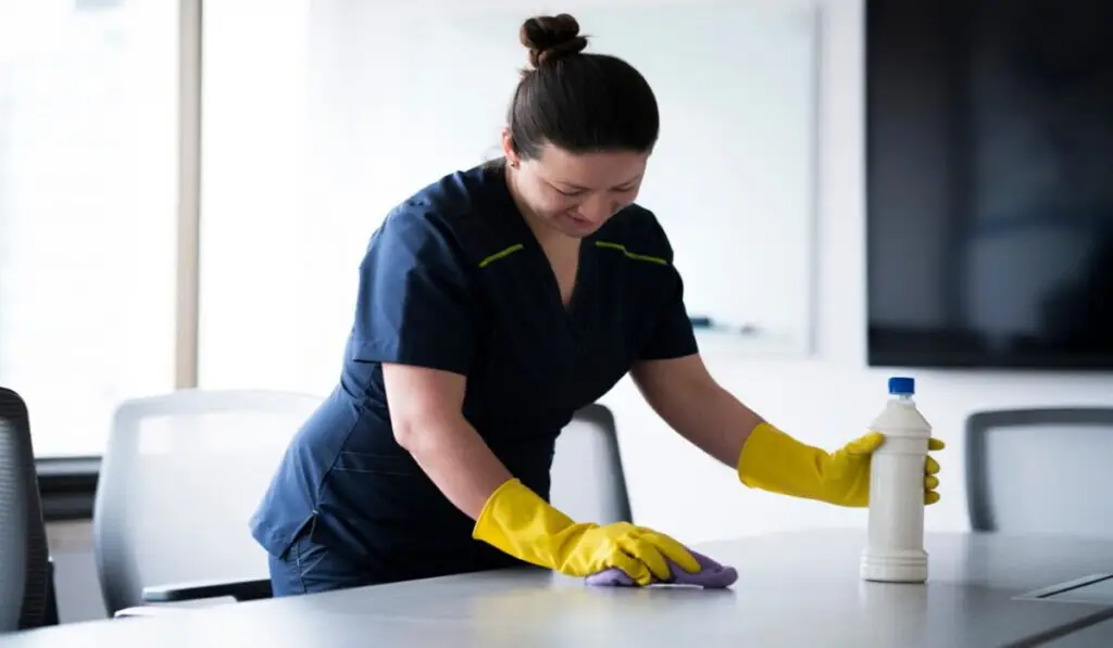 Office Cleaning Services: Essential Services To Help Keep Your Office Clean
