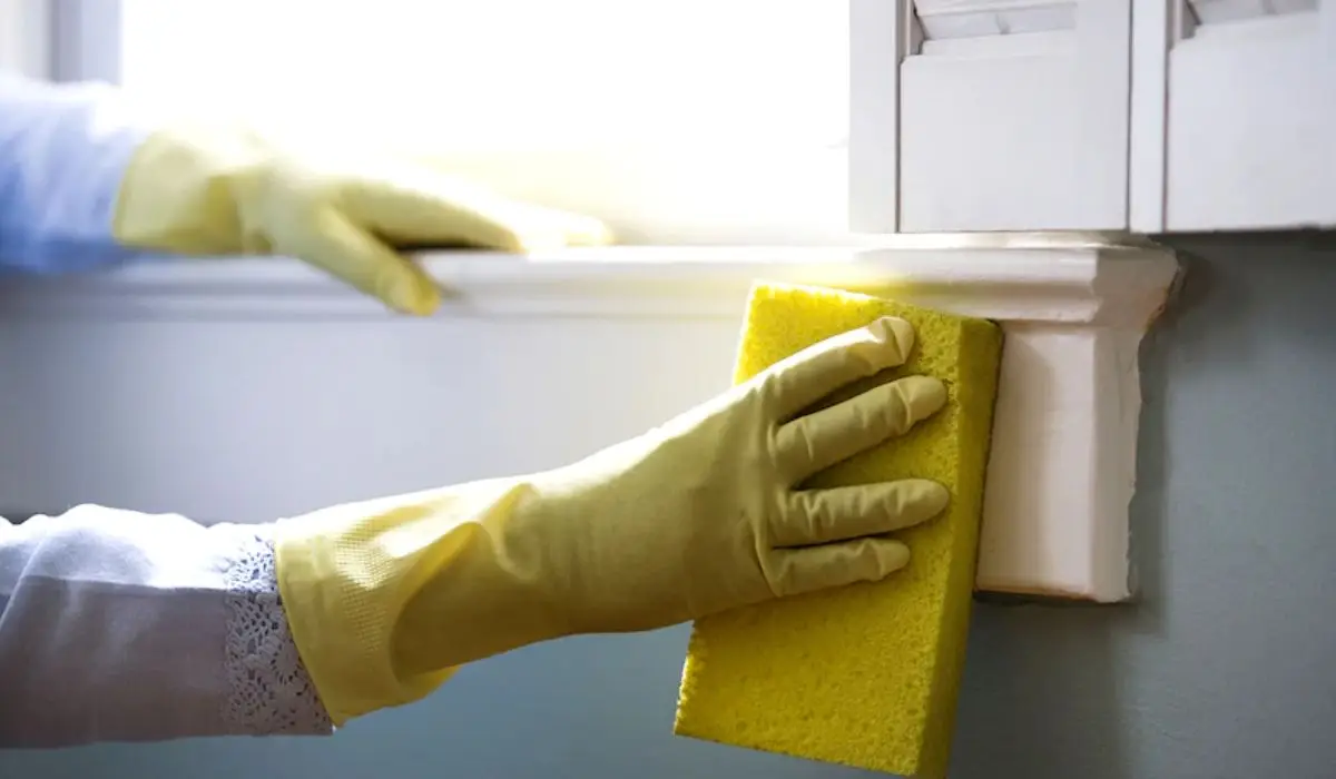 a-cleaner-using-a-sponge-and-cleaning-gloves-to-clean-the-side-of-the-wall