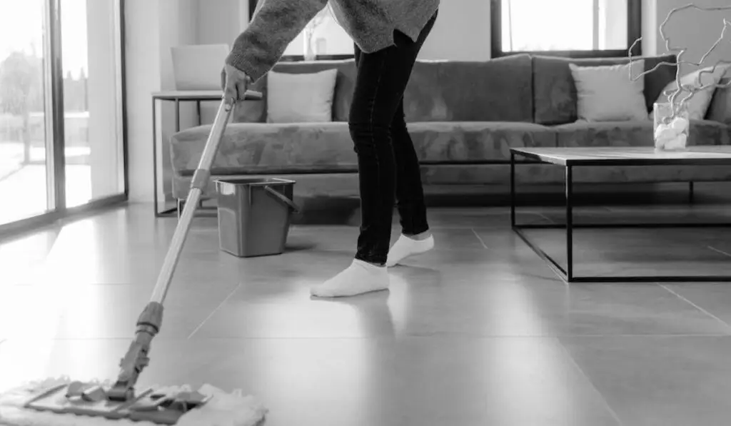 a grayscale photo of a person mopping the floor
