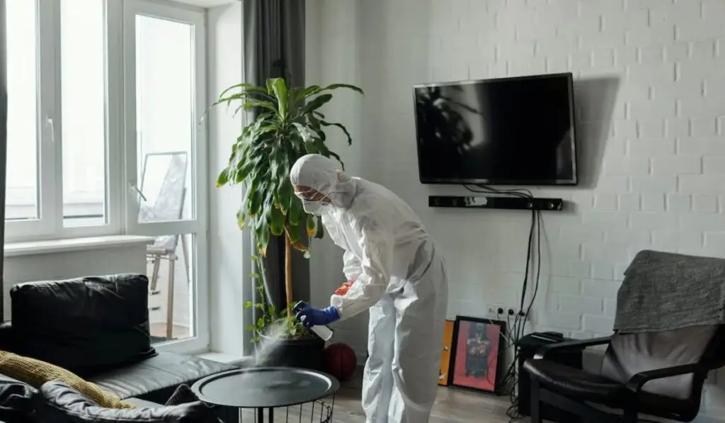 a professional cleaner wearing PPE attire while cleaning the living room