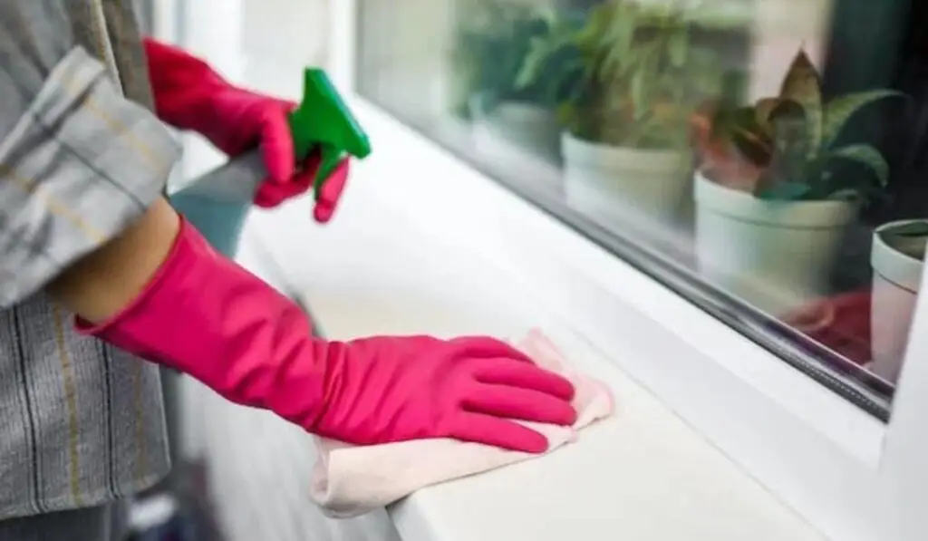 a person wearing pink rubber gloves cleaning the surfave area