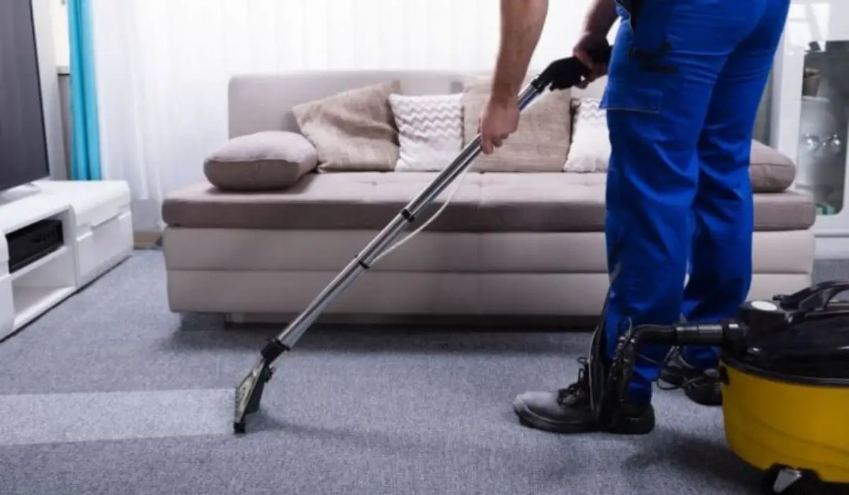 a cleaner vacuuming the carpet