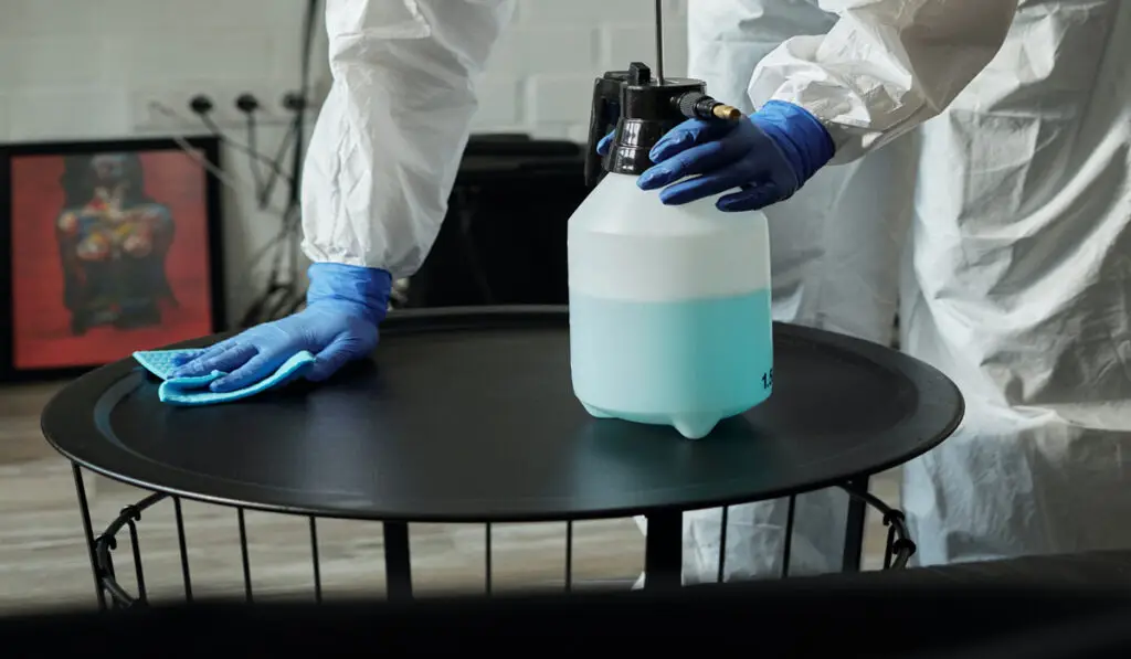 a person wearing blue rubber gloves and cleaning the table surface