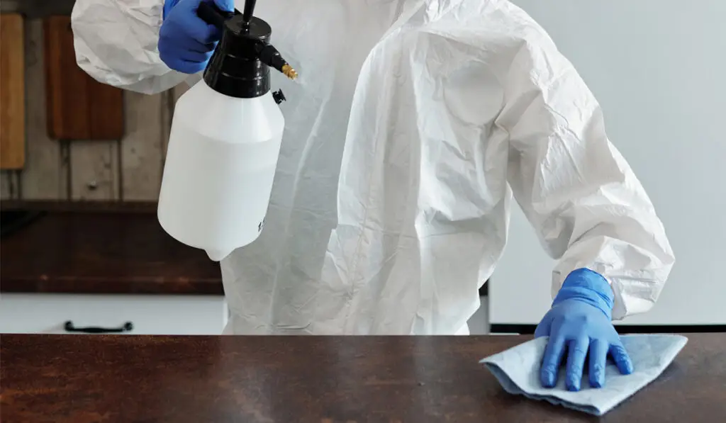 a person wearing PPE and cleaning the table surface