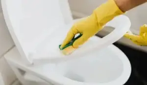 Hand scrubbing toilet seat.